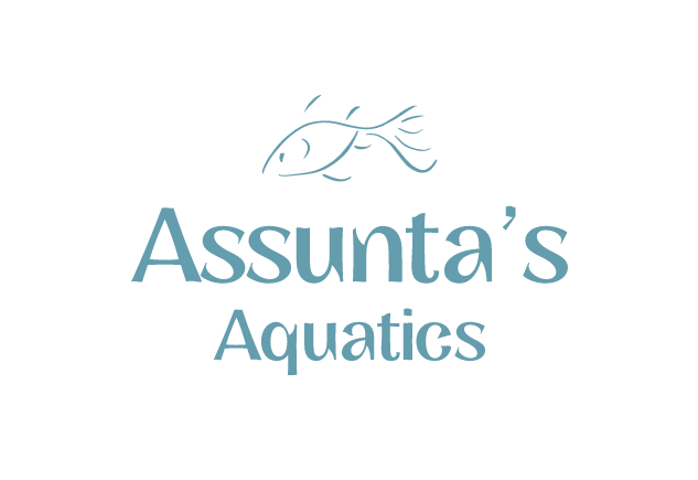 Assunta's Aquatics Logo